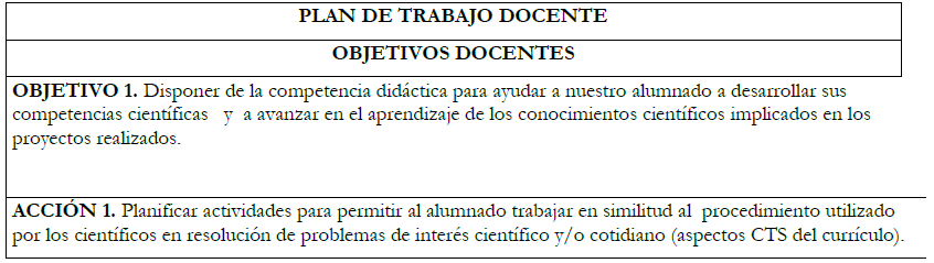 Plan de trabajo docente con
especificación de objetivos y acciones asociados a la experiencia.