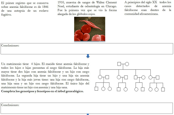 Datos suministrados en la tarea 4 &laquo;Rastreando la anemia falciforme&raquo;. Mapas extra&iacute;dos de Morning, A. (2011). The nature of race (pp. 89).