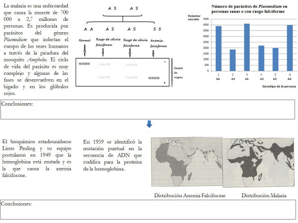 Continuaci&oacute;n.