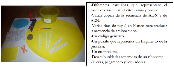 Materiales del kit <<Expresi&oacute;n de los genes>>.