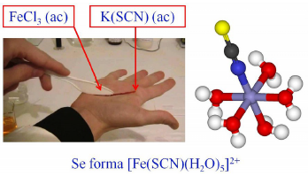 Preparaci&oacute;n de sangre artificial
  y estructura del complejo formado. Para evitar el contacto con la piel, se
  dispuso una capa de pl&aacute;stico invisible sobre la mano al realizar la
  fotograf&iacute;a.