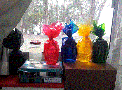 Cultivo de biopel&iacute;culas fototr&oacute;ficas en frascos envueltos
en papel celof&aacute;n de diferente color.