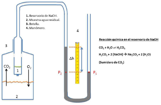 Dibujo esquem&aacute;tico del dise&ntilde;o experimental elaborado donde se especifica el sumidero de di&oacute;xido de carbono basado en la reacci&oacute;n qu&iacute;mica entre la sosa ca&uacute;stica y el &aacute;cido carb&oacute;nico, provocando un desequilibrio en el man&oacute;metro asociado a la botella portadora de muestra. V&eacute;ase el c&aacute;lculo de las presiones P1 y P2 en el texto general.