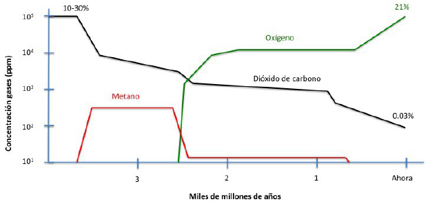 Evoluci&oacute;n de la concentraci&oacute;n de ox&iacute;geno, metano y di&oacute;xido de carbono en la atm&oacute;sfera a lo largo de la historia del planeta Tierra. Destaca la ca&iacute;da de di&oacute;xido de carbono desde un 10-30 % gasta 0,03 % en la actualidad. Tambi&eacute;n se muestra el dominio del metano y la evoluci&oacute;n positiva del ox&iacute;geno (tras la aparici&oacute;n de los primeros organismos fotosint&eacute;ticos, los estromatolitos). Modificado por los autores a partir de Lovelock (2011 p.166).