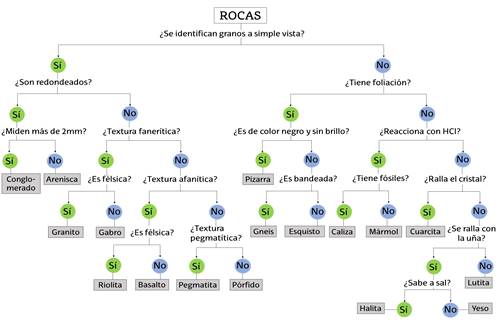 Modelo de clave dicot&oacute;mica.