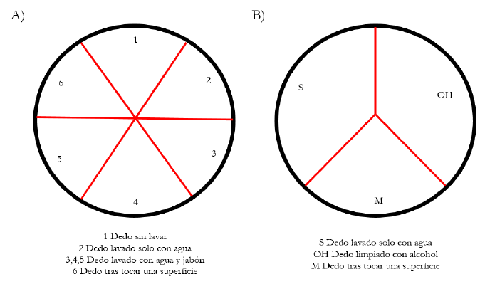 Pasos a seguir en los experimentos 2 y 3