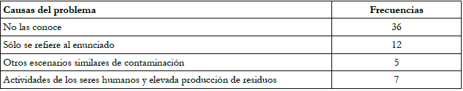 Causas del problema de
  contaminación por plásticos