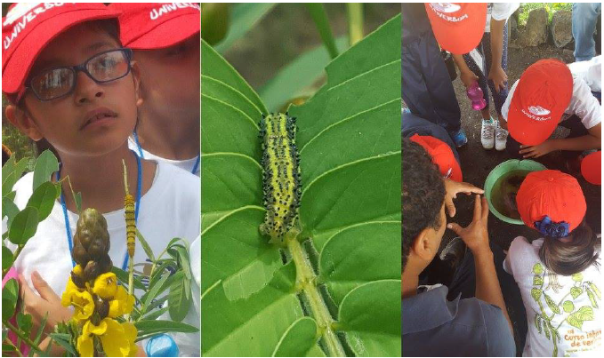 Curso infantil de verano Universum-Casita de las ciencias