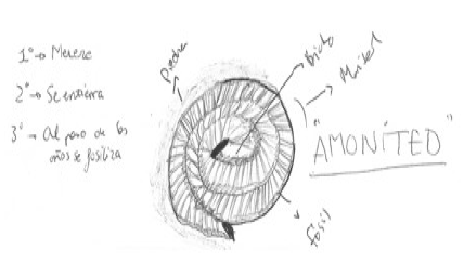 Caracterizaci&oacute;n del modelo mental Tipo 4, que integra el proceso de Tanatocenosis, adem&aacute;s del tiempo geol&oacute;gico
