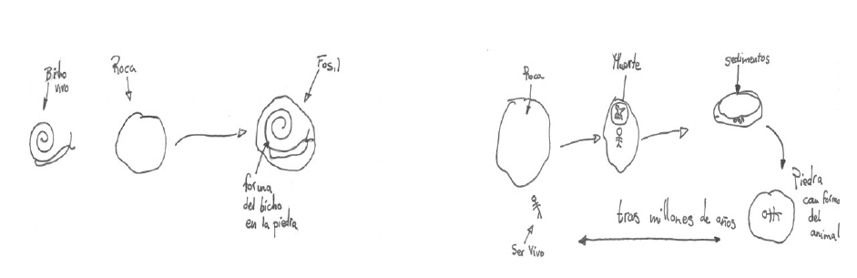 Caracterizaci&oacute;n de la evoluci&oacute;n del modelo metal tipo 4 previo al proceso de ense&ntilde;anza y aprendizaje (izquierda) al tipo 5 posterior al mismo (derecha).