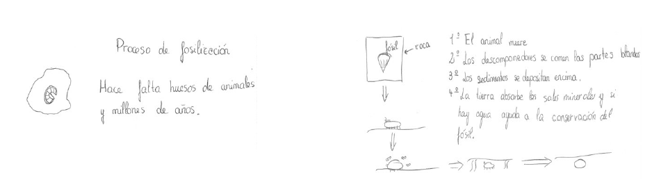 Caracterizaci&oacute;n de la evoluci&oacute;n del modelo mental tipo 4 previo al proceso de ense&ntilde;anza y aprendizaje (izquierda) al tipo 6 posterior al mismo (derecha) 