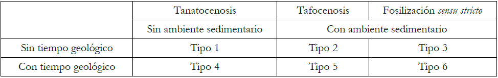 Diferentes modelos obtenidos de
  combinar las posibilidades que brindan las variables procesos de
  fosilizaci&oacute;n, ambiente sedimentario y tiempo geol&oacute;gico