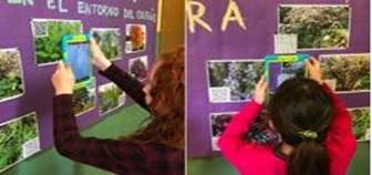 Mural creado por alumnado de 4º de
Primaria, donde se utilizan códigos QR para conocer la flora del entorno. 