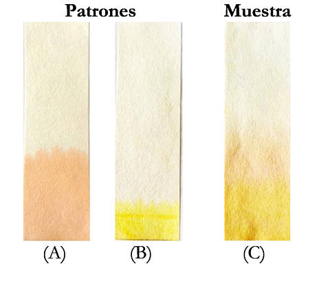 Fotograf&iacute;as de las cromatograf&iacute;as en papel de los patrones amarillo ocaso (A) y tartrazina (B), y de la muestra de jugo en polvo sabor naranja