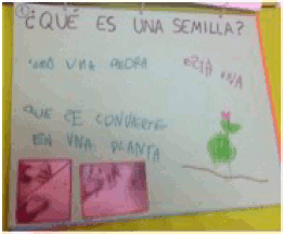 Cartulina para visualizar el cierre pregunta problema 1