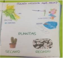 Página del libro diferencias entre plantas (cantidad de agua)
