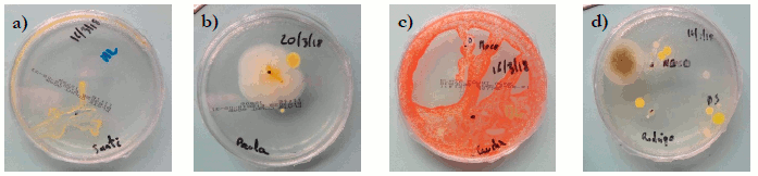 a) Placas &ldquo;Manos limpias&rdquo;; b) &ldquo;manos sucias&rdquo;; c) &ldquo;dientes limpios&rdquo;; d) &ldquo;dientes sucios&rdquo;.