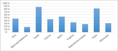 &iquest;D&oacute;nde crees que hay microbios? (P2)