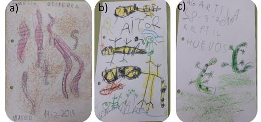 Recogida de informaci&oacute;n sobre animales encontrados en el patio escolar: a) lombriz de tierra, con dibujo en el que se observa su cuerpo alargado y anillado, identificaci&oacute;n y fecha -el reverso de la hoja conten&iacute;a las palabras clave anillos y compost-; b) apuntes gr&aacute;ficos sobre la salamandra, con su coloraci&oacute;n aposem&aacute;tica; c) apuntes gr&aacute;ficos sobre las lagartijas, incluyen fecha de observaci&oacute;n, grupo taxon&oacute;mico y anotaci&oacute;n sobre su historia natural.