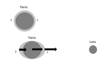 Generacin de las protuberancias de las mareas a travs de la fuerza gravitatoria de la Luna (Armario, Jimnez-Tenorio y Oliva 2019)
