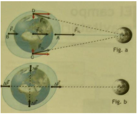 Figura explicativa de las mareas extrada de Lorente et al 2009