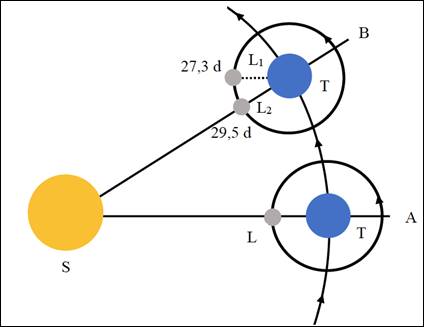 Diagrama para ilustrar los cambios en la configuracin del Sol (S)-Tierra (T)-Luna (L) durante un mes lunar En el momento A la Luna se encuentra entre el Sol y la Tierra Luna nueva En el momento B la Luna habr regresado al mismo punto en relacin con la Tierra 273 das o un mes sideral ms tarde L1 Sin embargo la Luna necesitar otros 22 das es decir un total de 295 das o un mes sindico L2 para volver a su posicin en la lnea entre la Tierra y el Sol redibujado a partir de Rackham 1968. No est a escala