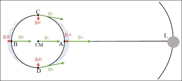 Representacin de los campos gravitatorios en el CM, A, B, C y D 