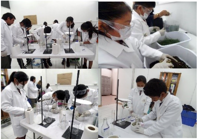 Estudiantes durante el proceso de elaboraci�n de los extractos vegetales.