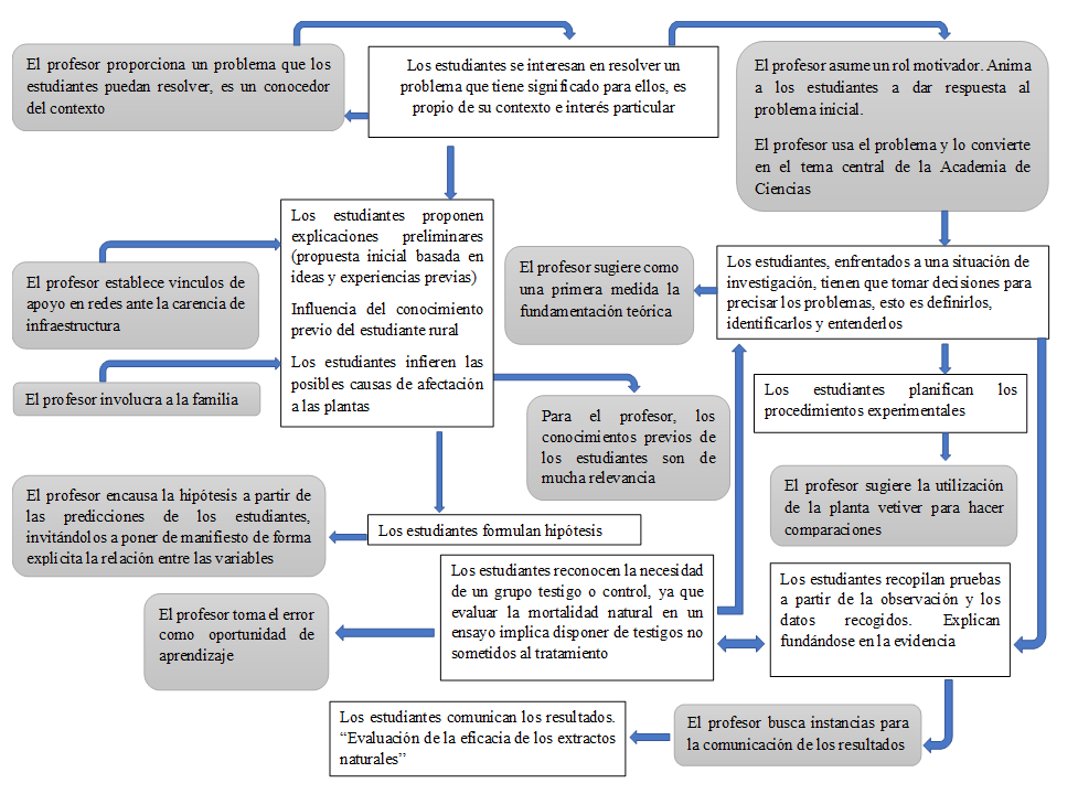 Intervenci�n del profesor durante la experiencia de aprendizaje.