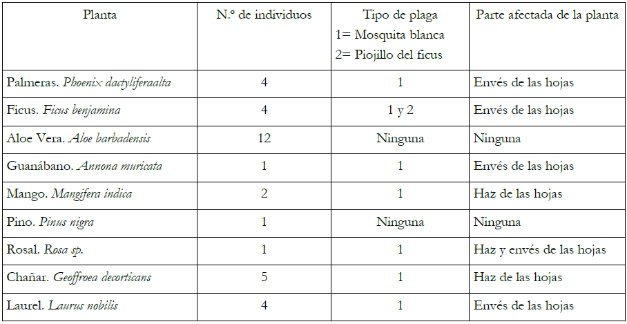 Inventario de las plantas infectadas en la escuela.