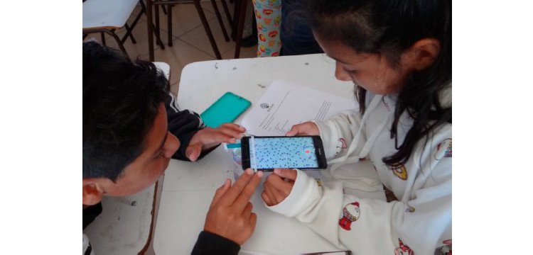 Estudiantes visualizando células vegetales de hoja de agapanto.