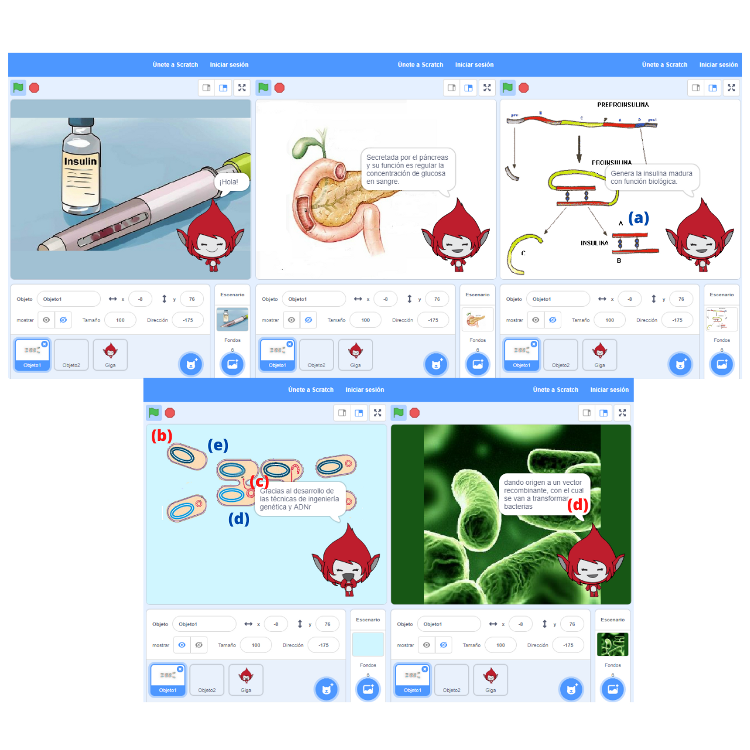 Modelo tipo II donde la idea de continuidad se encuentra representada por los procesos: b) Eleccin de un vector y su corte con las enzimas de restriccin, c) Unin del gen de inters con el vector formando la molcula de ADNr y d) Transformacin de las bacterias con el ADNr (indicados en letras de color rojo). En este modelo la idea de interaccin est simbolizada por los siguientes factores: a) Gen de inters, b) Vector y e) Bacterias (indicados en letras de color azul).