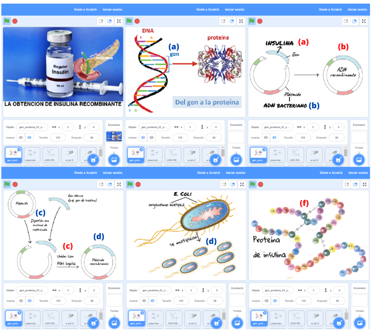 Modelo tipo III donde la idea de continuidad est representada por los procesos: a) Identificacin y generacin de fragmentos de ADN (gen de inters) utilizando enzimas de restriccin, b) Eleccin de un vector y su corte con las enzimas de restriccin, c) Unin del gen de inters y el vector formando la molcula de ADNr y f) Extraccin y purificacin del producto (insulina recombinante) (indicados en letras de color rojo). En este modelo la idea de interaccin se encuentra simbolizada por los siguientes factores: a) Gen de inters (insulina), b) Vector, c) Enzimas de restriccin, d) ADNr y e) Bacterias (indicados en letras de color azul). Ambas ideas se inscriben en los niveles medio/alto establecidos previamente. Finalmente, la idea de transformacin e integracin se encuentra representada a travs del proceso f) Extraer y purificar el producto (indicado con la letra “f” en color rojo).
