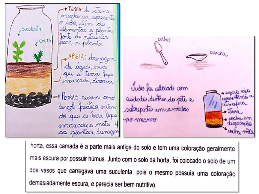 Extractos del cuaderno de campo, que muestran la movilizacin de conocimientos por parte de los alumnos.