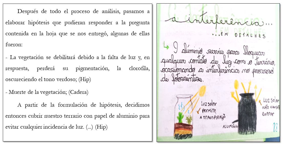 Extractos de los cuadernos de campo – Hiptesis sobre la luz y la fotosntesis.
