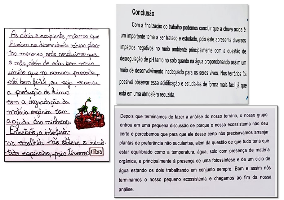 Recortes de los cuadernos de campo en los que se observa el uso de conceptos para explicar los fenmenos modelados.