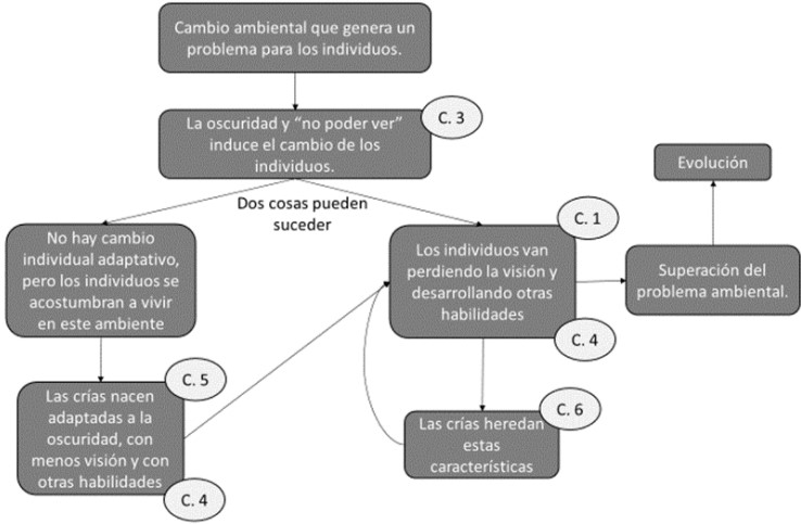 Patr�n explicativo del Modelo Finalista en el problema 2 (P2) sobre la p�rdida de un rasgo morfol�gico simple.