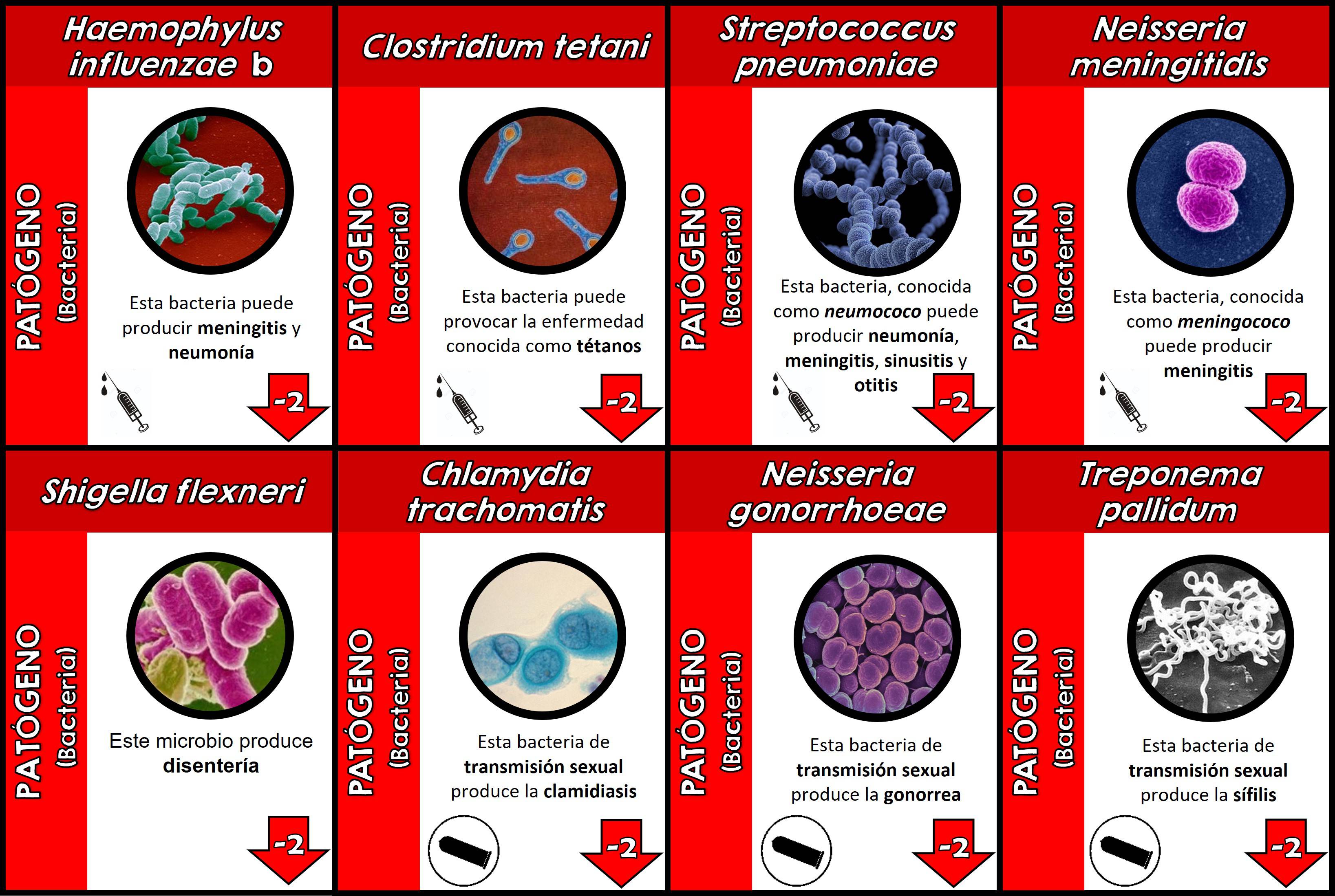 Algunos ejemplos de cartas de microorganismos pat�genos.
