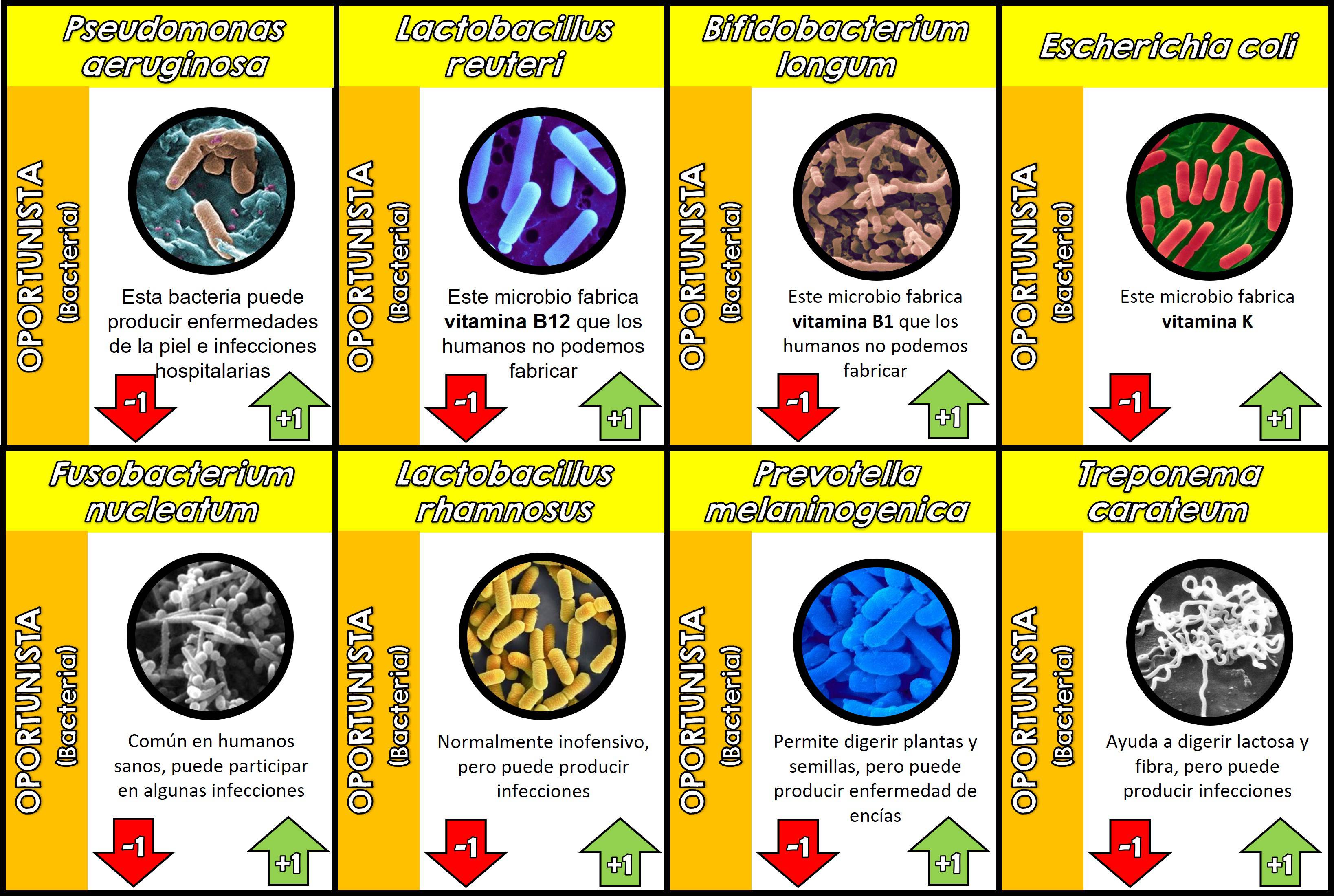 Algunos ejemplos de cartas de microorganismos oportunistas.