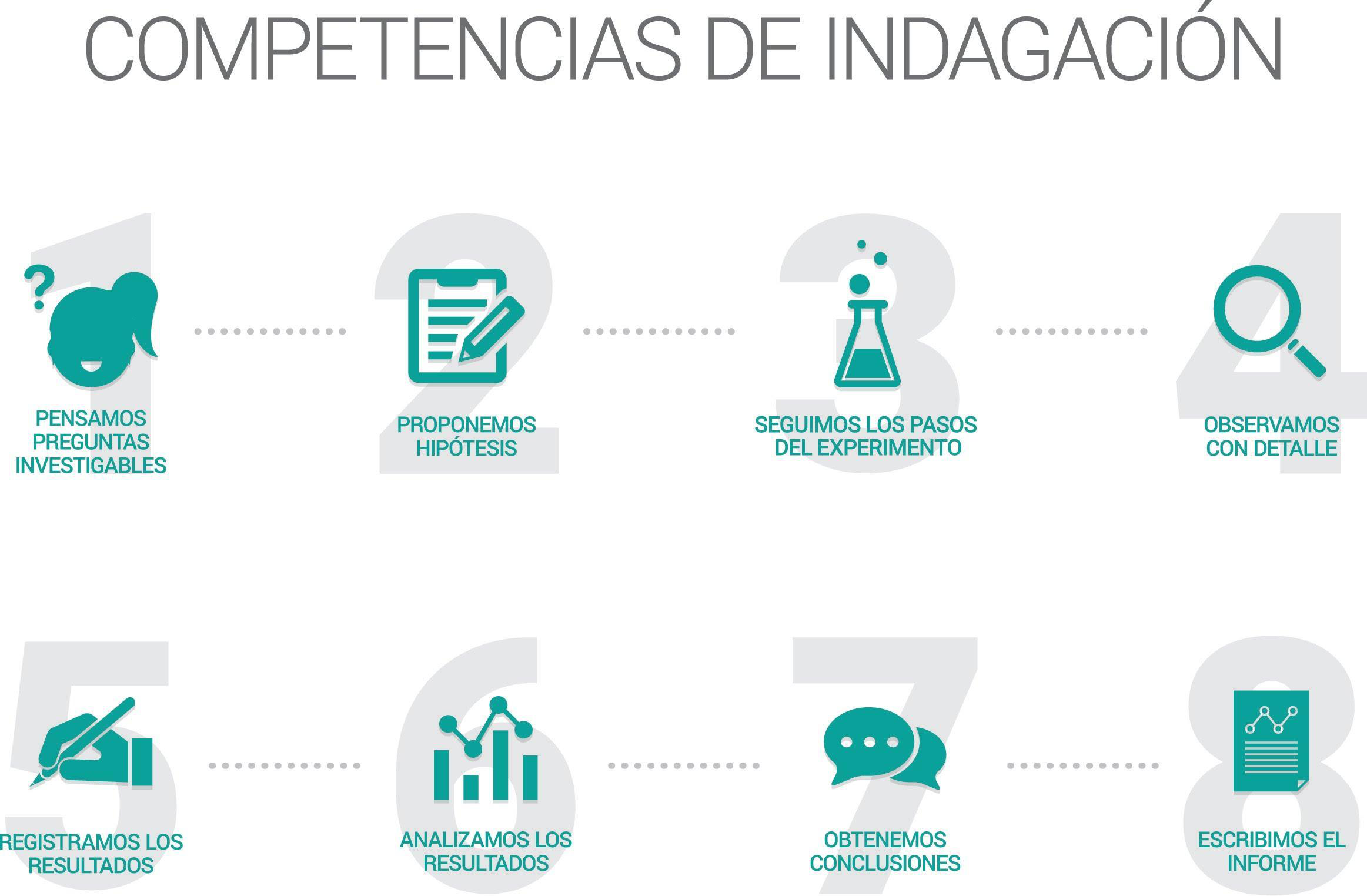 Habilidades de indagaci�n que se trabajaron durante la propuesta analizada