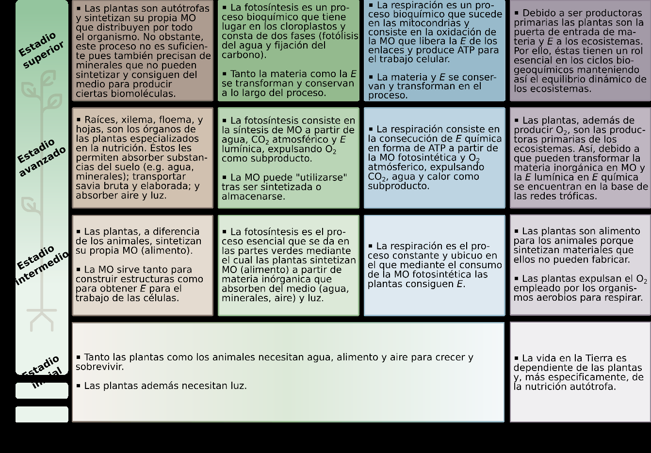 Propuesta de progresi�n de aprendizaje para cada idea clave del MCNV desde EP hasta ES (1� de Bachillerato) basada en los resultados emp�ricos de la investigaci�n en Did�ctica de las Ciencias Experimentales y orientaciones curriculares internacionales. (Abreviaturas: MO, Materia org�nica; E, Energ�a)