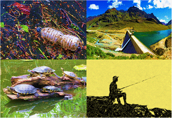 Algunas de las fotografas repartidas para la variante Con fotos. En esta seleccin se observan las que corresponden a problemticas que amenazan a los peces de ro: contaminacin, presas, especies invasoras exticas y sobrepesca (Imgenes libres obtenidas y modificadas de Pixabay).