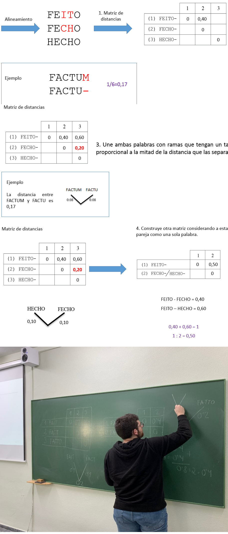 Construcci�n de �rboles filogen�ticos a trav�s de la analog�a