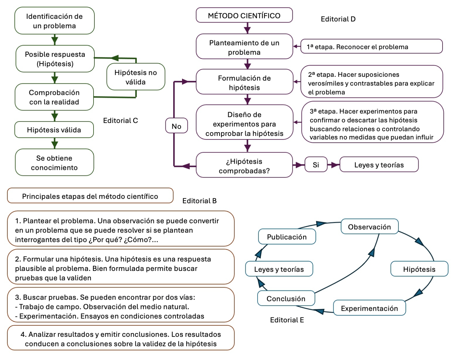 Reproduccin de los esquemas del mtodo cientfico presentados por las editoriales