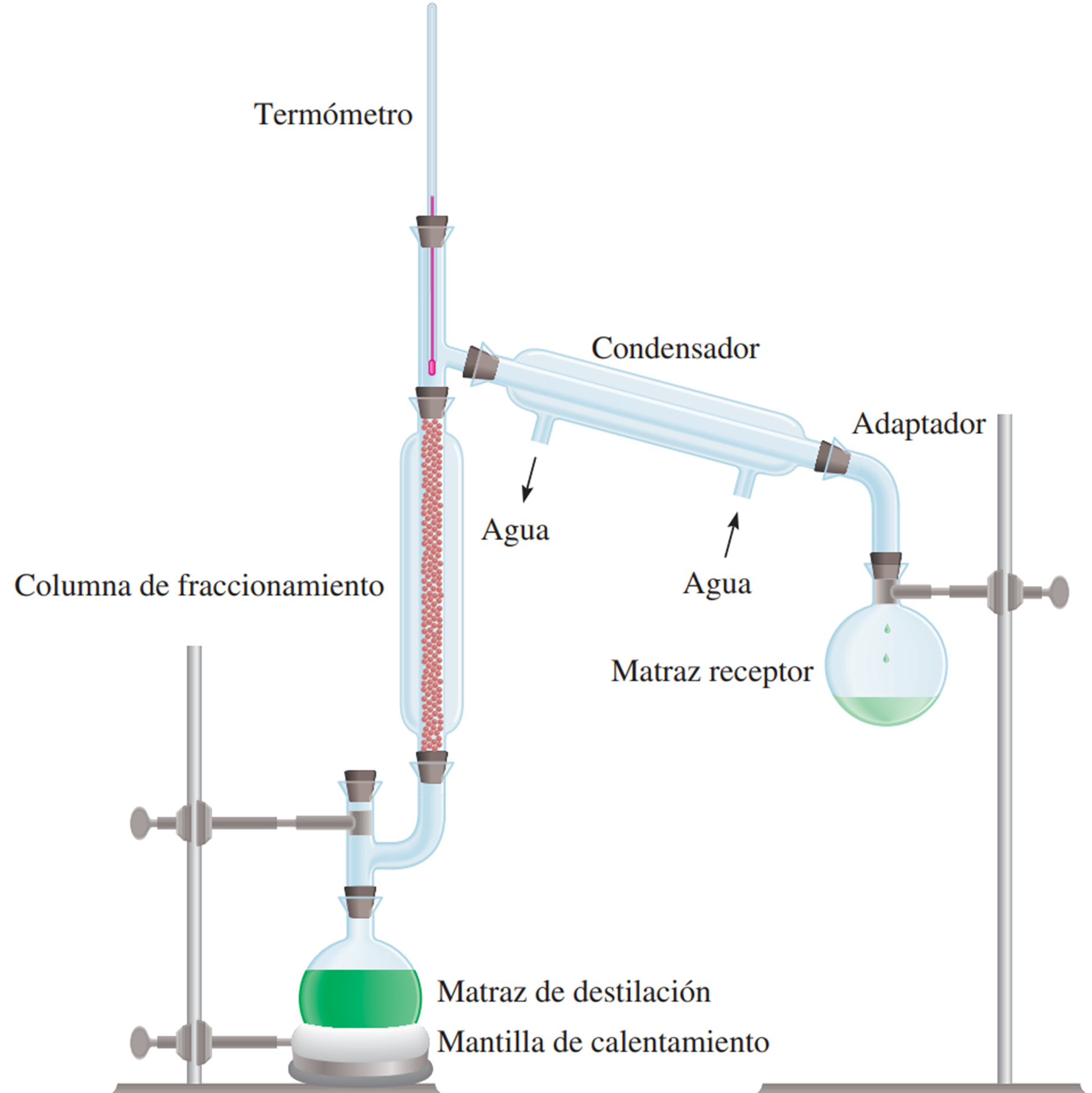 Montaje experimental de una destilaci�n fraccionada para separar los 3 componentes de una mezcla homog�nea l�quida (imagen adaptada de Chang y Goldsby, 2013, p. 537).