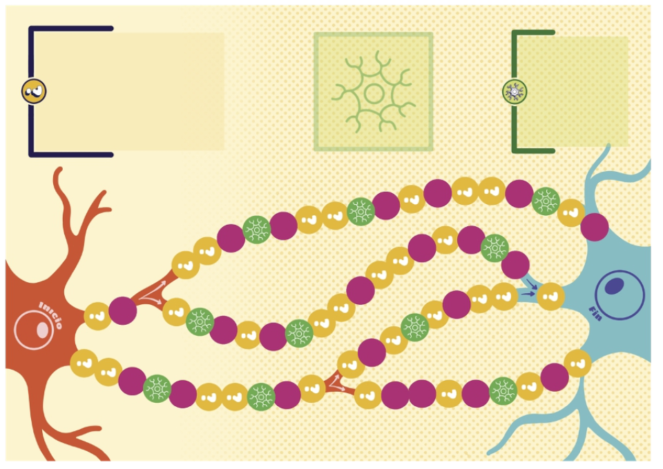 Vista general del tablero del juego Neuro�Qu�?