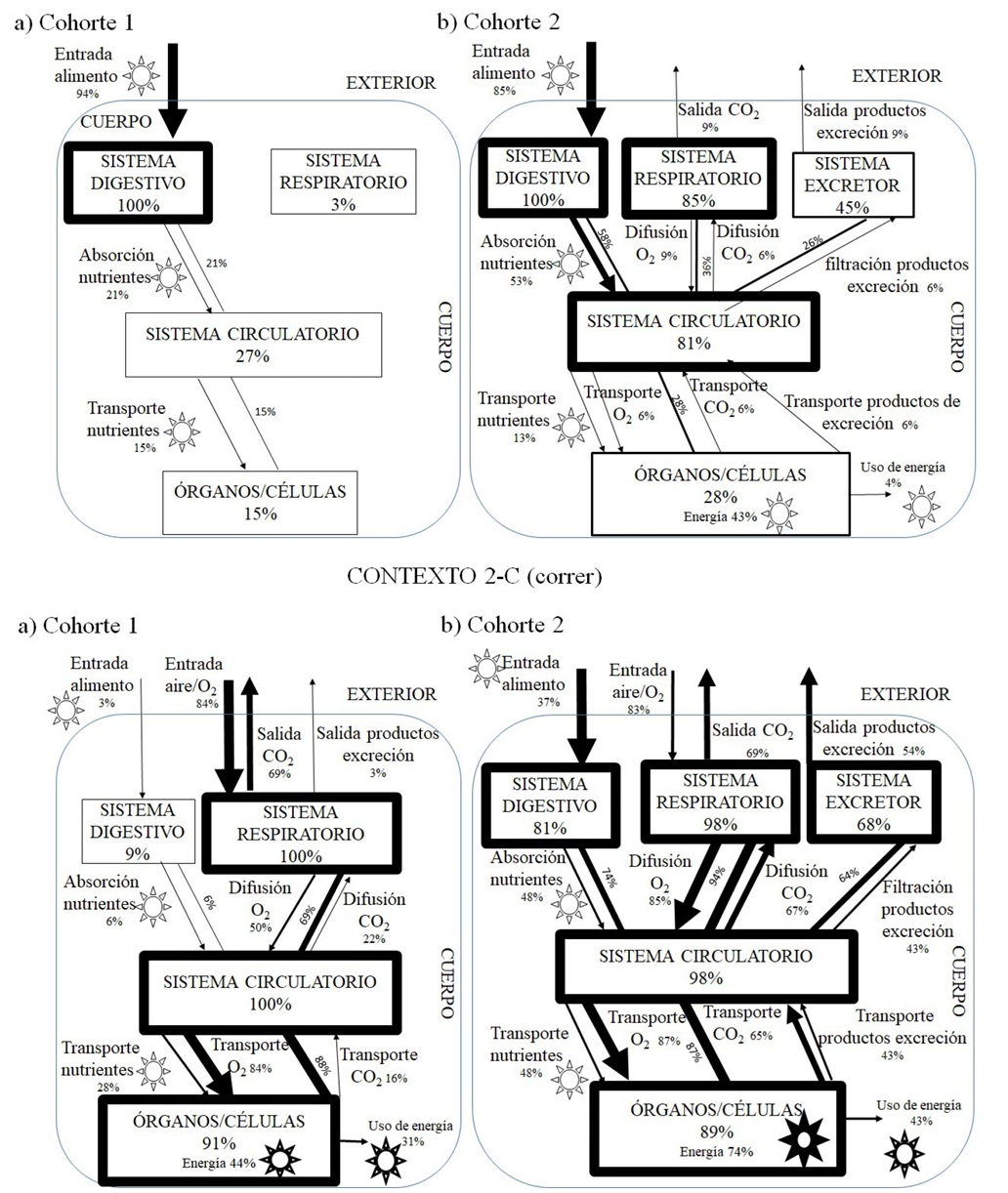 Representaci�n esquem�tica del modelo de nutrici�n humana mostrado por los FPs en sus dibujos y explicaciones escritas finales.  Nota. a) Contexto1-IL en Cohorte1; b) Contexto1-IL en Cohorte2; c) Contexto2-C en Cohorte1; d) Contexto2-C en Cohorte2. Se muestra el porcentaje de FP que represent� cada elemento. El grosor de las l�neas representa el cuartil: 0-25%, 25-50%, 50-75% y 75-100%. Los cuadros representan los sistemas implicados, las l�neas entre cuadros ilustran relaciones entre sistemas y las flechas, el transporte y otros procesos que sufren los componentes y el sol representa la energ�a.