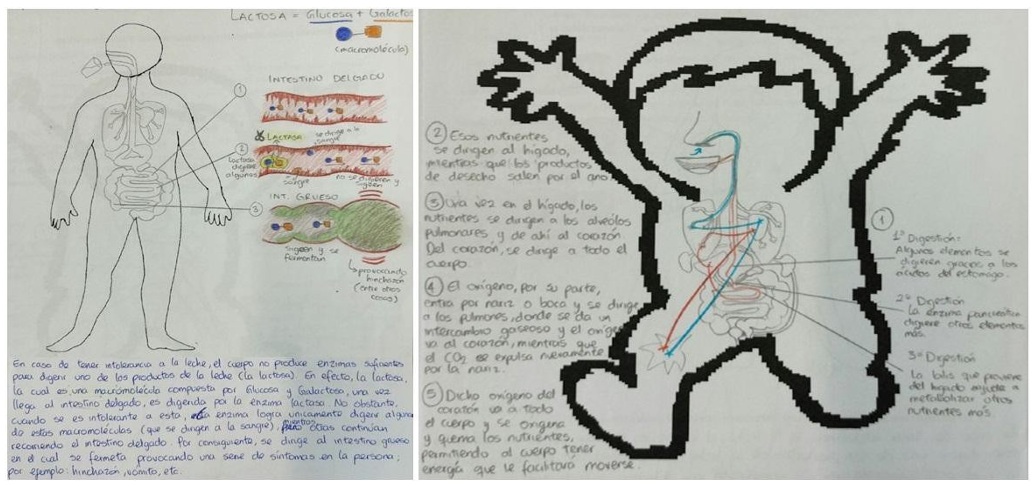Dibujos y explicaciones escritas finales realizadas por FP2-9