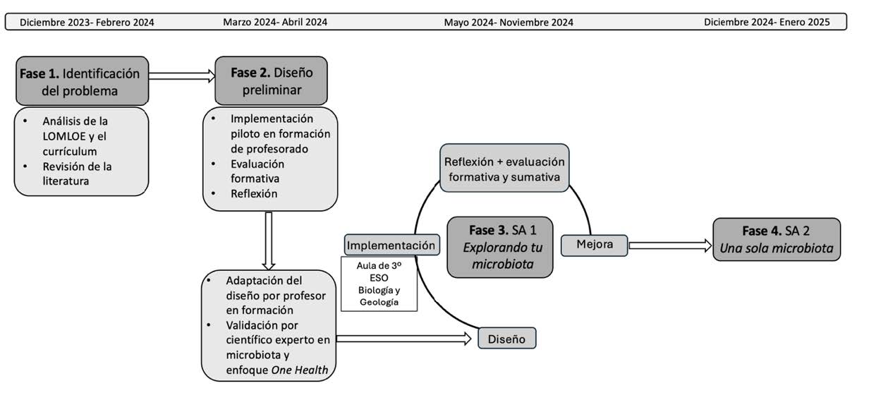 Esquema de las fases de la IBD seguidas para el dise�o de la SA2. Elaboraci�n propia.