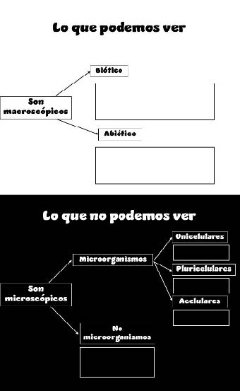 Esquema de la A2 sobre el que trabajar� el alumnado. Elaboraci�n propia.